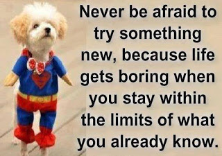 Never be afraid to try something new